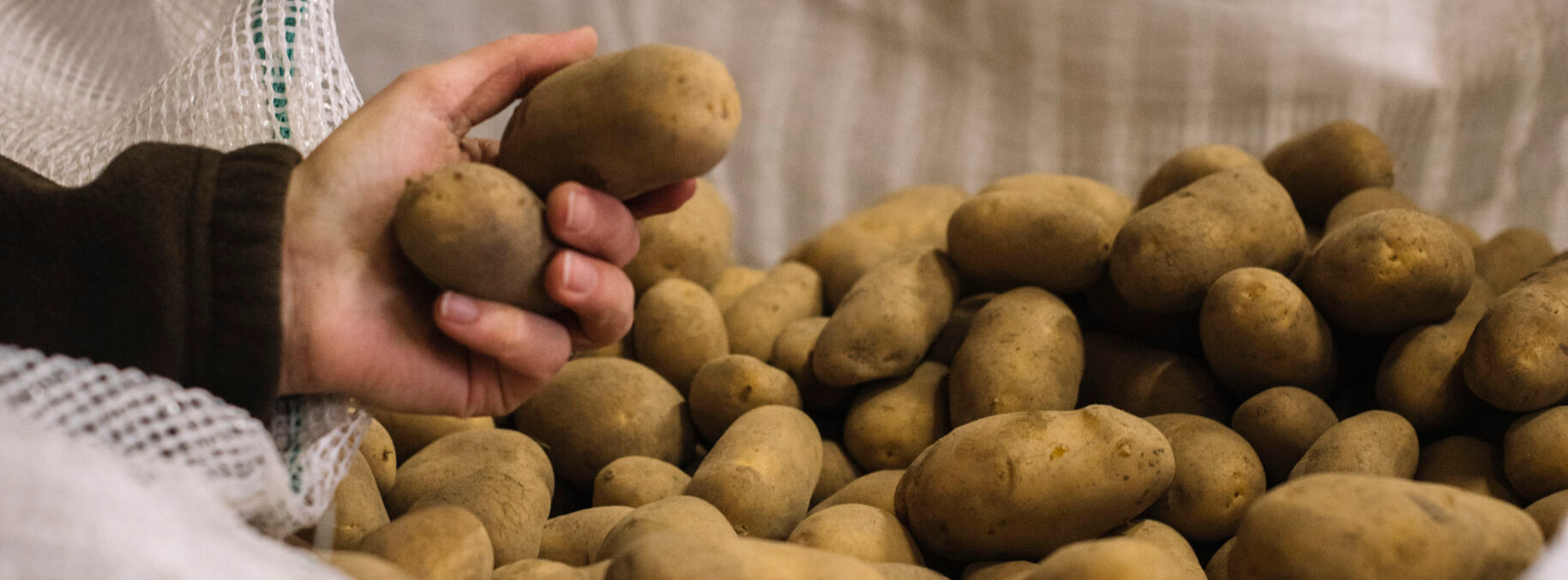 Mehr über den Artikel erfahren Bio bleibt Bio: Unsere Qualitätsstandards